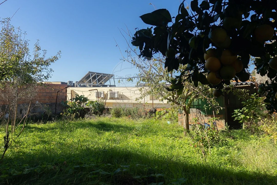 Loja para Venda em Escapães Foto 15
