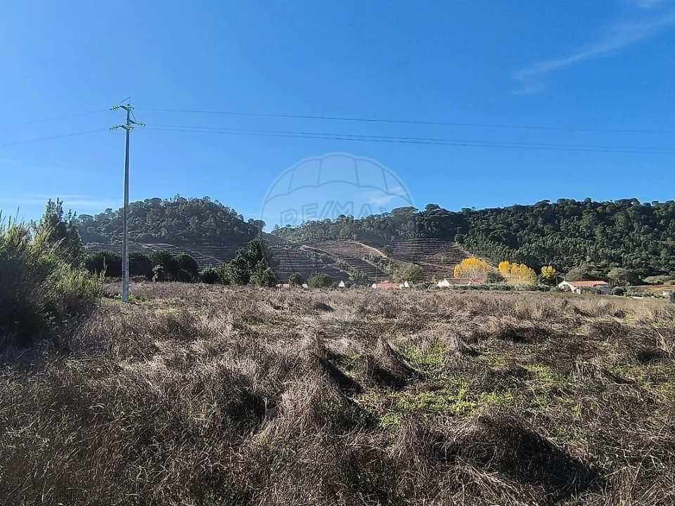 Terreno para Venda em São João da Ribeira e Ribeira de São João Foto 8