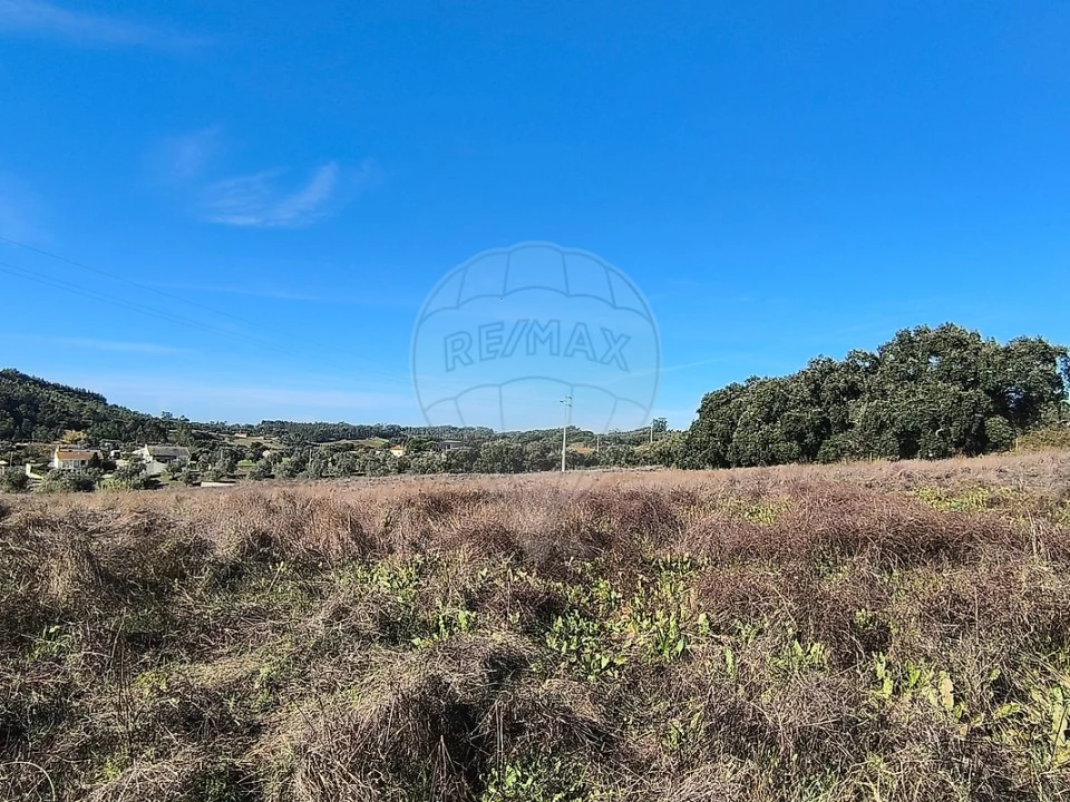 Terreno para Venda em São João da Ribeira e Ribeira de São João Foto 10