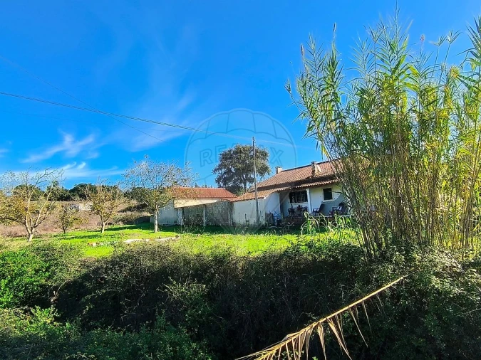 Terreno para Venda em São João da Ribeira e Ribeira de São João Foto 3