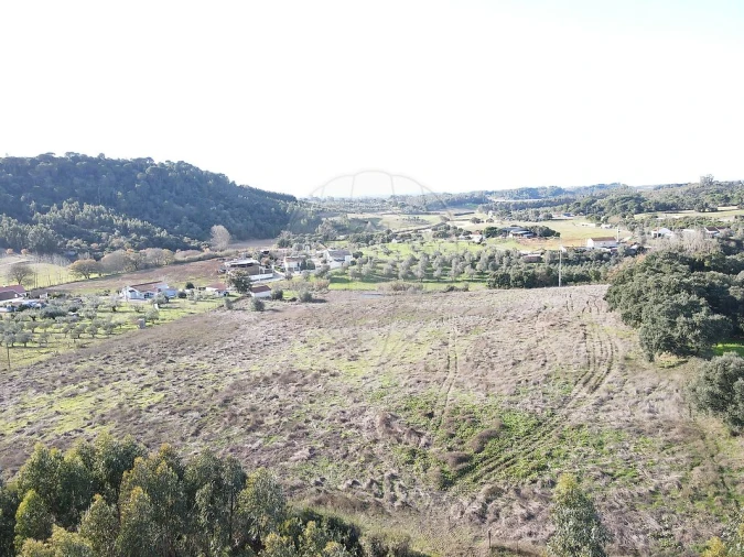 Terreno para Venda em São João da Ribeira e Ribeira de São João Foto 19