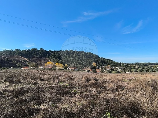 Terreno para Venda em São João da Ribeira e Ribeira de São João Foto 10