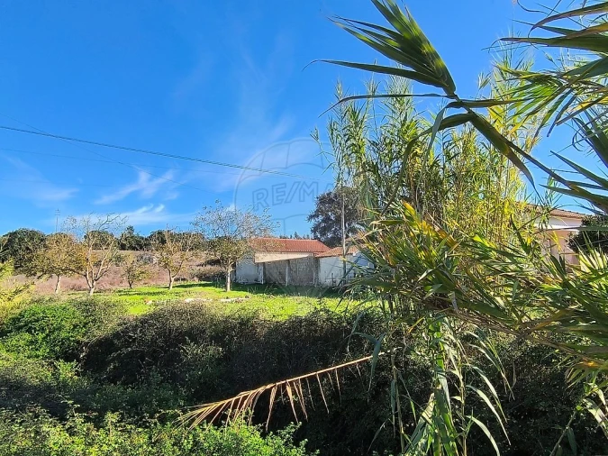 Terreno para Venda em São João da Ribeira e Ribeira de São João
