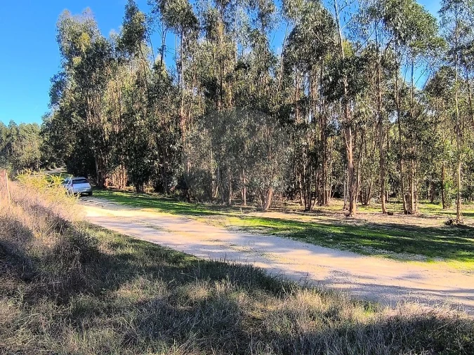 Terreno para Venda em São João da Ribeira e Ribeira de São João Foto 5