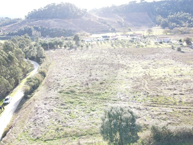 Terreno para Venda em São João da Ribeira e Ribeira de São João Foto 22
