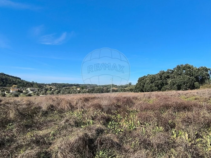 Terreno para Venda em São João da Ribeira e Ribeira de São João Foto 9