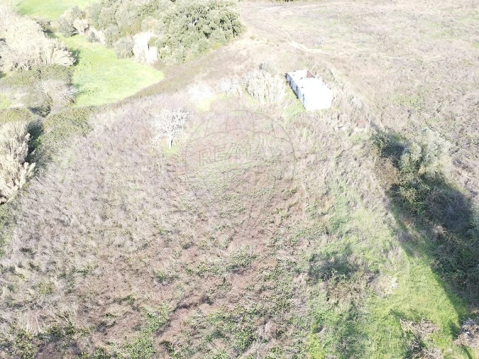 Terreno para Venda em São João da Ribeira e Ribeira de São João Foto 27