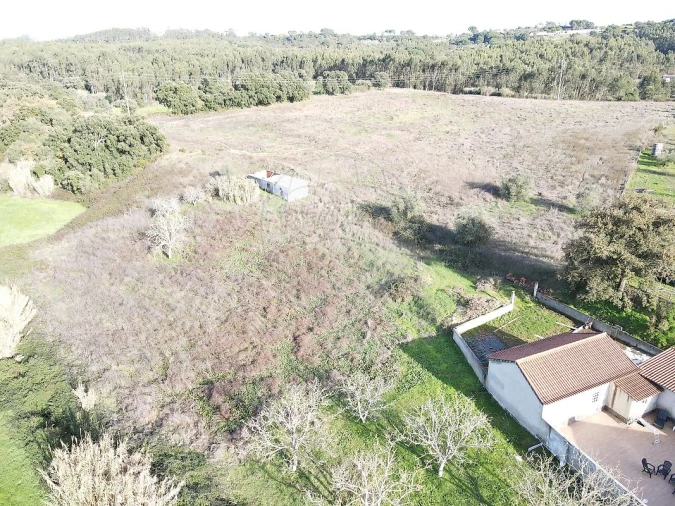 Terreno para Venda em São João da Ribeira e Ribeira de São João Foto 25