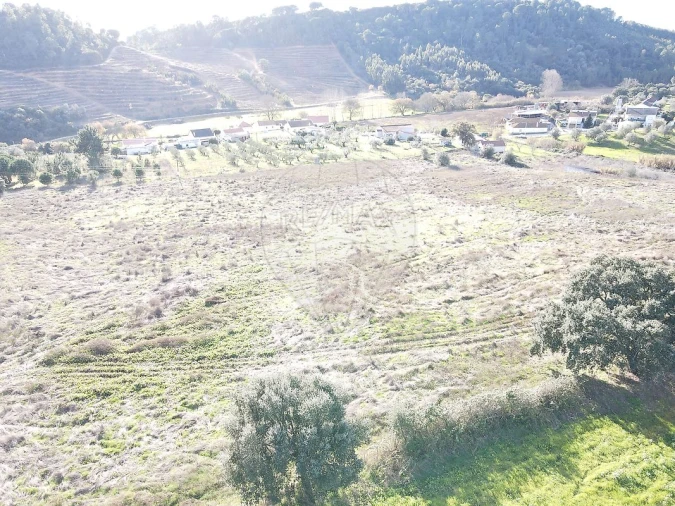 Terreno para Venda em São João da Ribeira e Ribeira de São João Foto 20