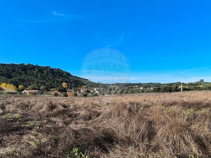 Terreno para Venda em São João da Ribeira e Ribeira de São João Foto 8