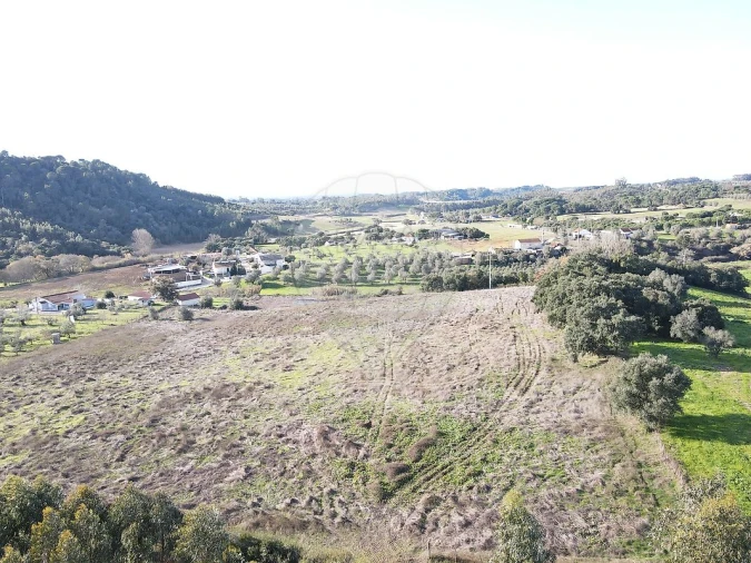 Terreno para Venda em São João da Ribeira e Ribeira de São João Foto 18