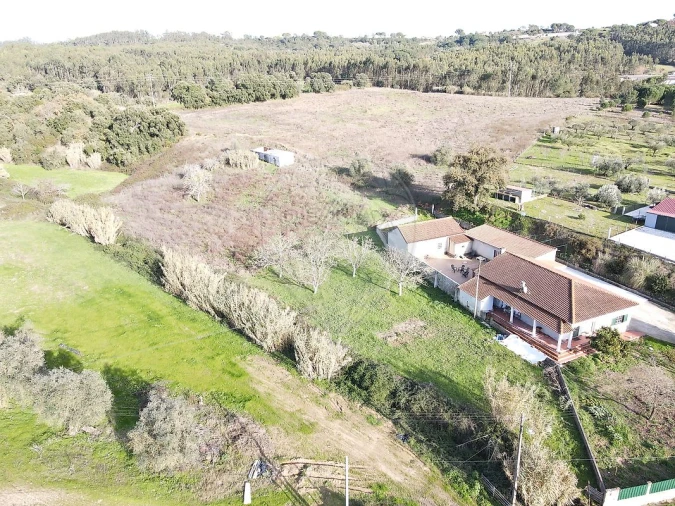 Terreno para Venda em São João da Ribeira e Ribeira de São João Foto 1