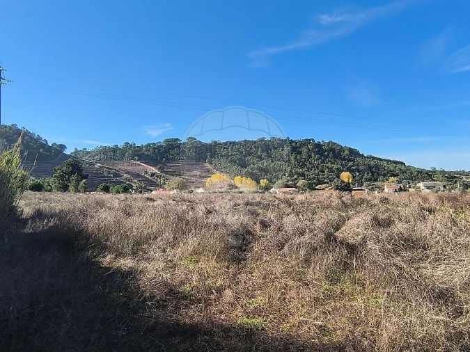Terreno para Venda em São João da Ribeira e Ribeira de São João Foto 6