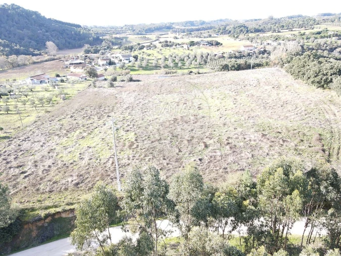 Terreno para Venda em São João da Ribeira e Ribeira de São João Foto 21