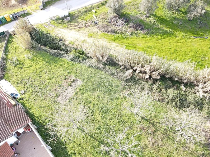 Terreno para Venda em São João da Ribeira e Ribeira de São João Foto 28