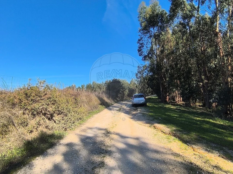 Terreno para Venda em São João da Ribeira e Ribeira de São João Foto 16