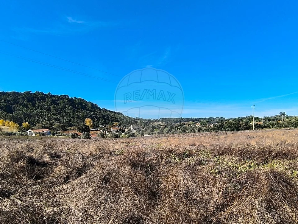 Terreno para Venda em São João da Ribeira e Ribeira de São João Foto 13