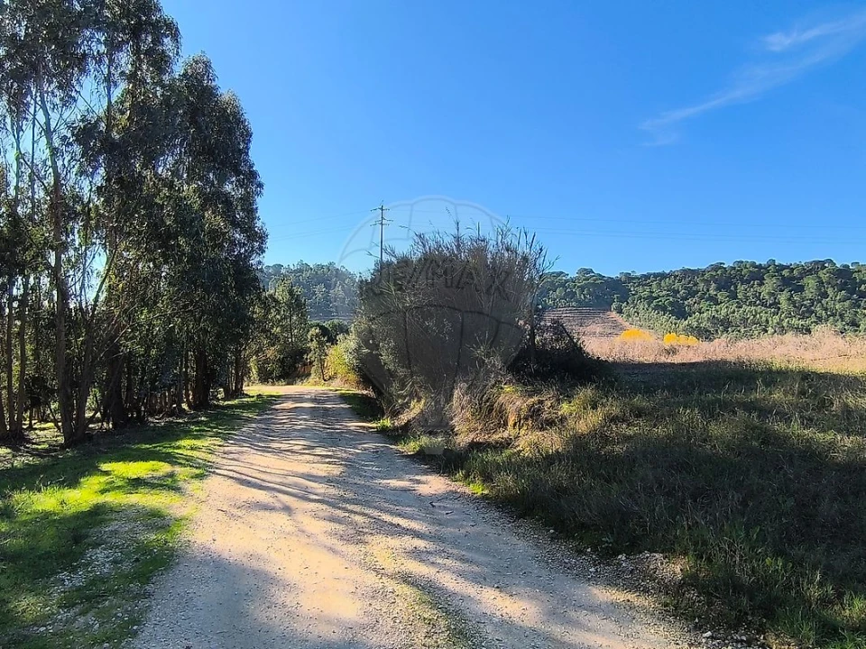 Terreno para Venda em São João da Ribeira e Ribeira de São João Foto 14