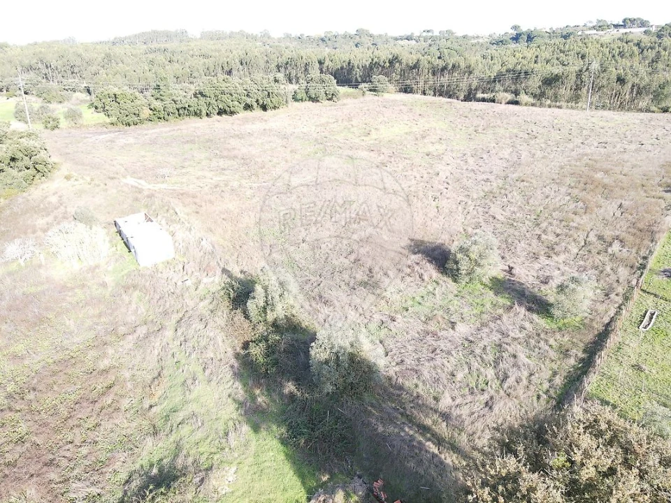 Terreno para Venda em São João da Ribeira e Ribeira de São João Foto 24