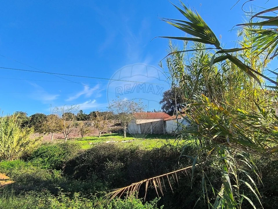 Terreno para Venda em São João da Ribeira e Ribeira de São João Foto 5