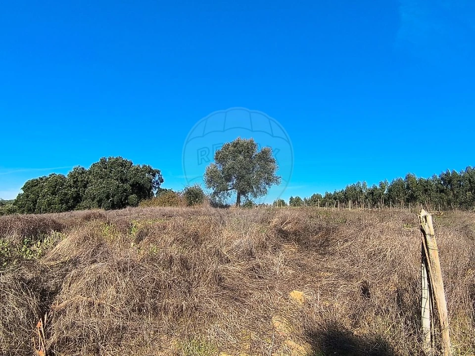 Terreno para Venda em São João da Ribeira e Ribeira de São João Foto 3