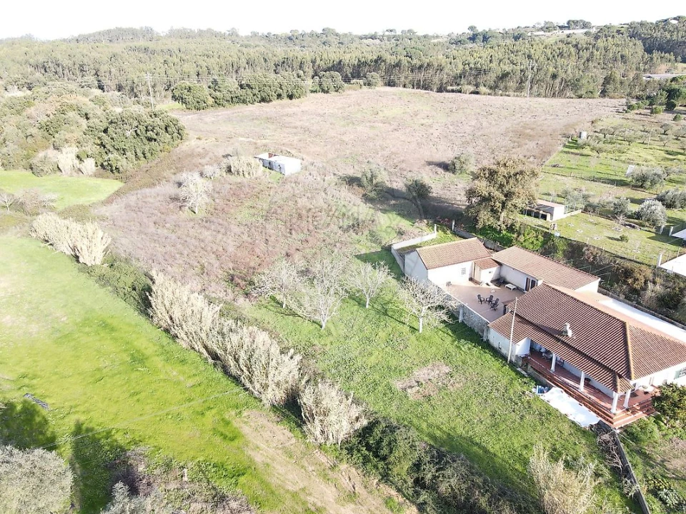 Terreno para Venda em São João da Ribeira e Ribeira de São João Foto 26
