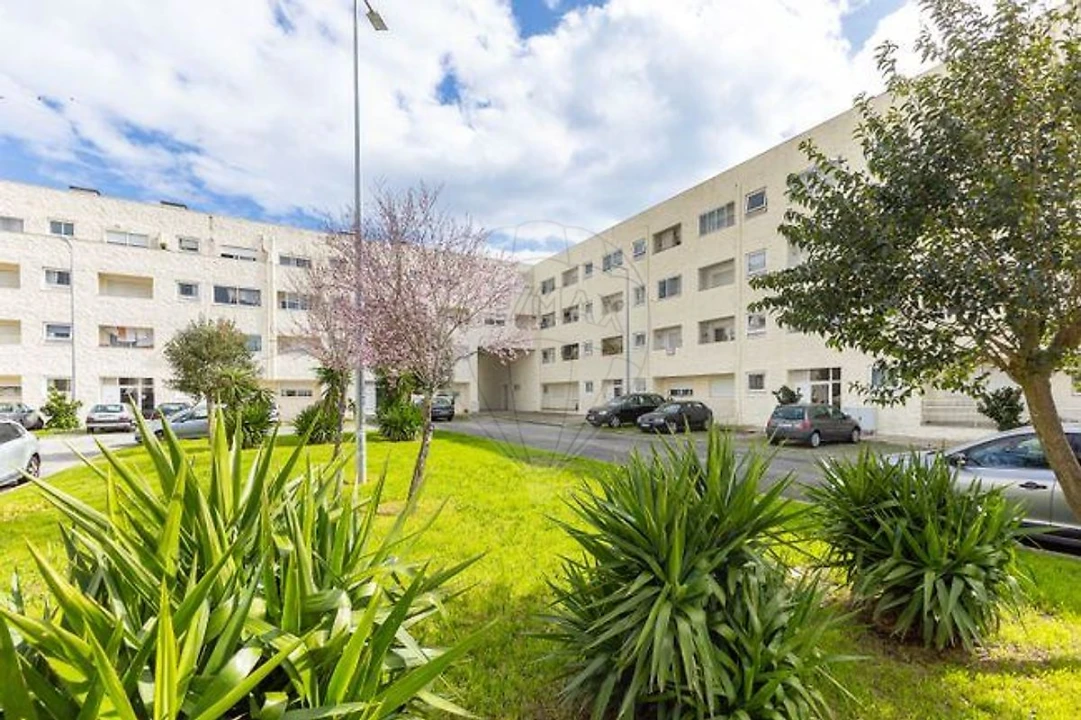 Apartamento T3 para Venda em Campo e Sobrado Foto 1