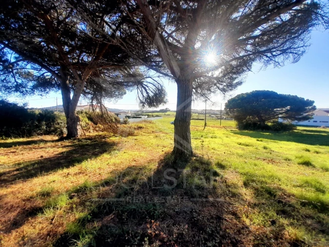 Terreno para Venda em Tornada e Salir do Porto Foto 11