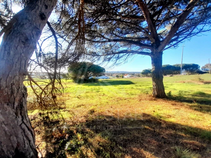 Terreno para Venda em Tornada e Salir do Porto Foto 12