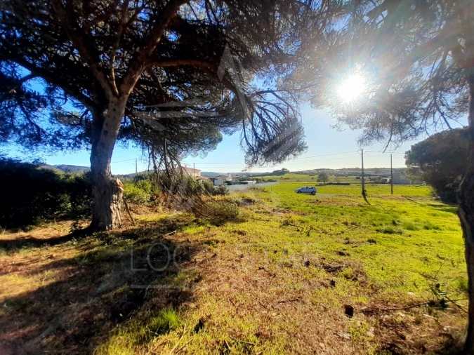 Terreno para Venda em Tornada e Salir do Porto Foto 2