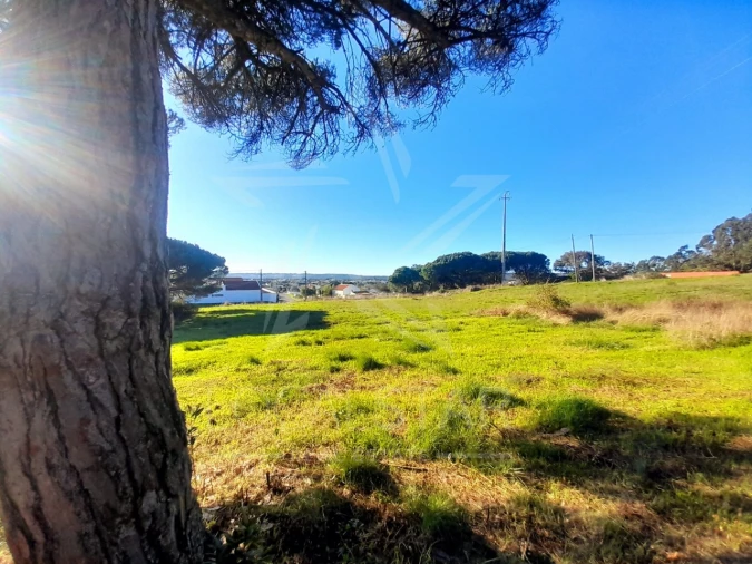 Terreno para Venda em Tornada e Salir do Porto Foto 3