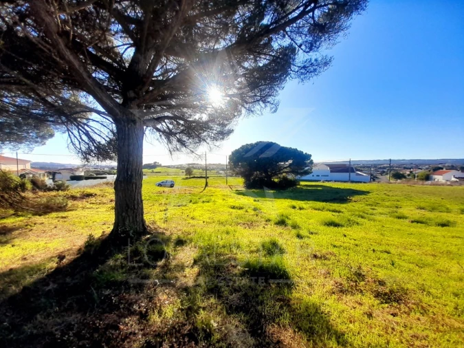Terreno para Venda em Tornada e Salir do Porto Foto 10