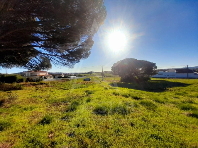 Terreno para Venda em Tornada e Salir do Porto Foto 9