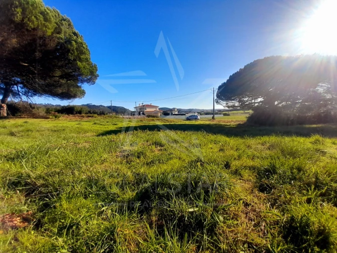 Terreno para Venda em Tornada e Salir do Porto Foto 5