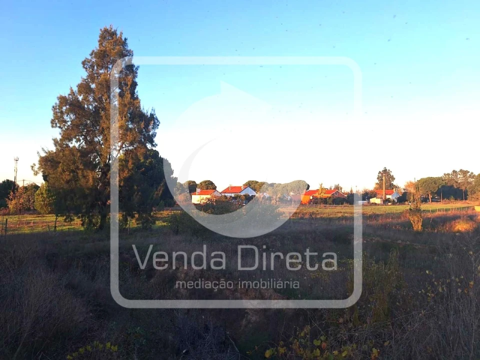 Terreno para Venda em Canha Foto 3