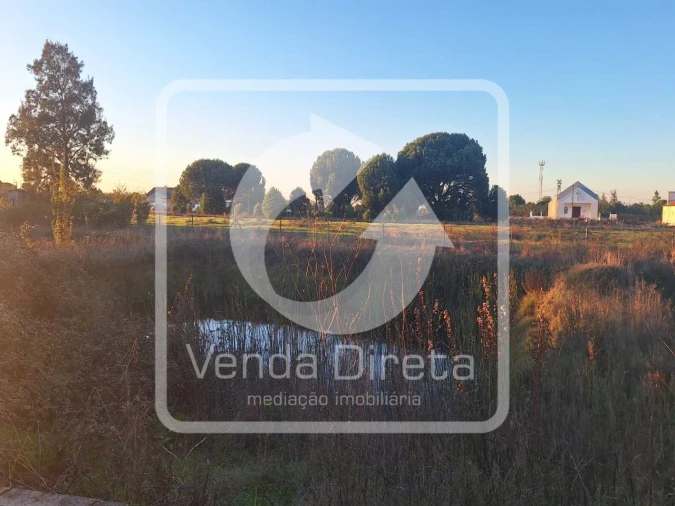 Terreno para Venda em Canha Foto 6