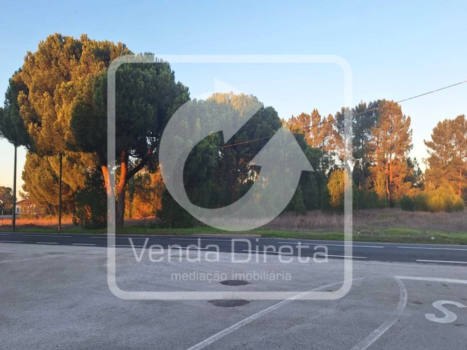 Terreno para Venda em Canha Foto 14