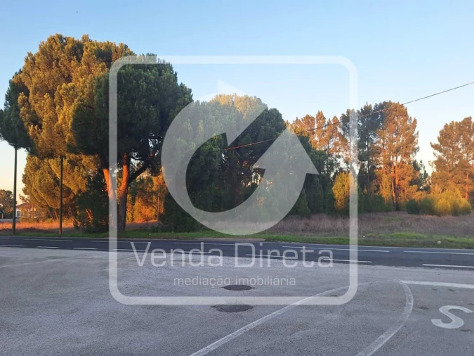 Terreno para Venda em Canha Foto 14