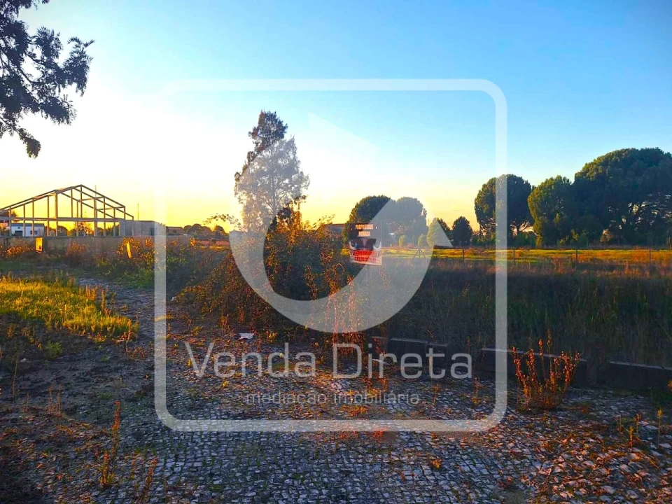 Terreno para Venda em Canha Foto 11