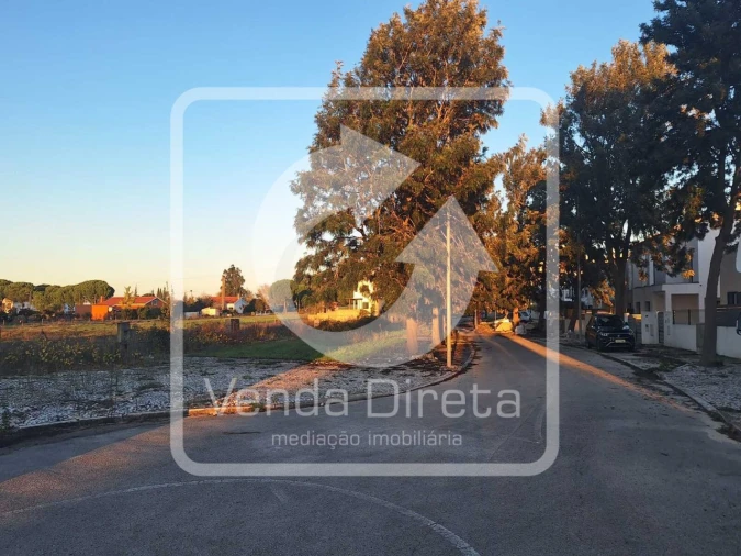 Terreno para Venda em Canha Foto 10