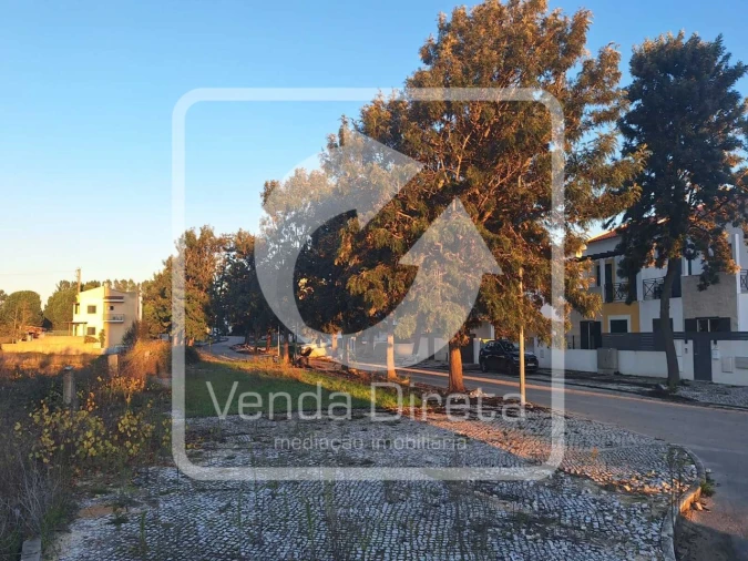 Terreno para Venda em Canha Foto 11