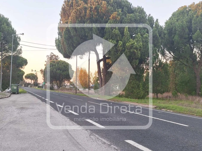 Terreno para Venda em Canha Foto 1