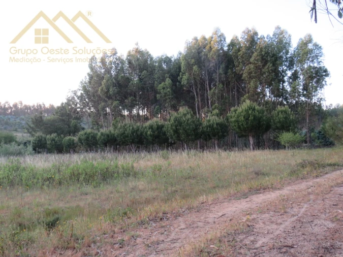 Terreno Agricola ou Rústico para Venda em Ramalhal Foto 2