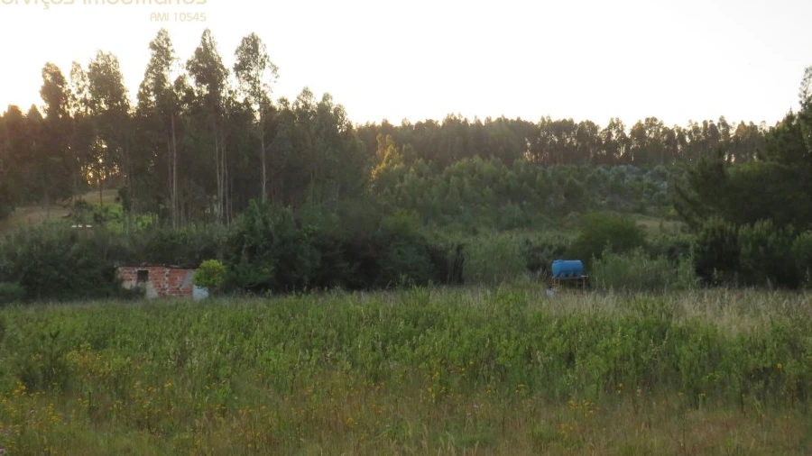 Terreno Agricola ou Rústico para Venda em Ramalhal