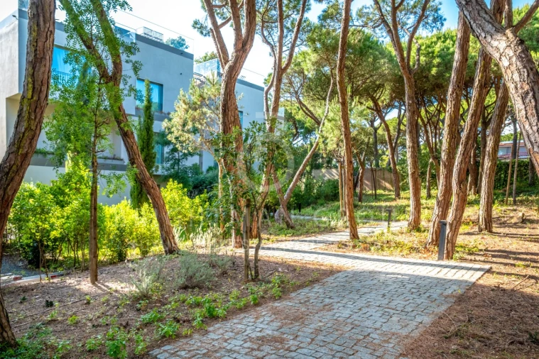 Apartamento T3 para Venda em Cascais e Estoril Foto 4