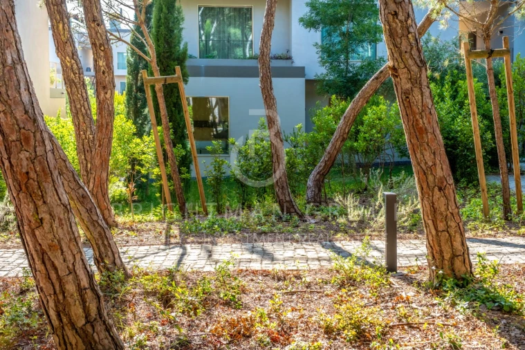 Apartamento T3 para Venda em Cascais e Estoril Foto 3