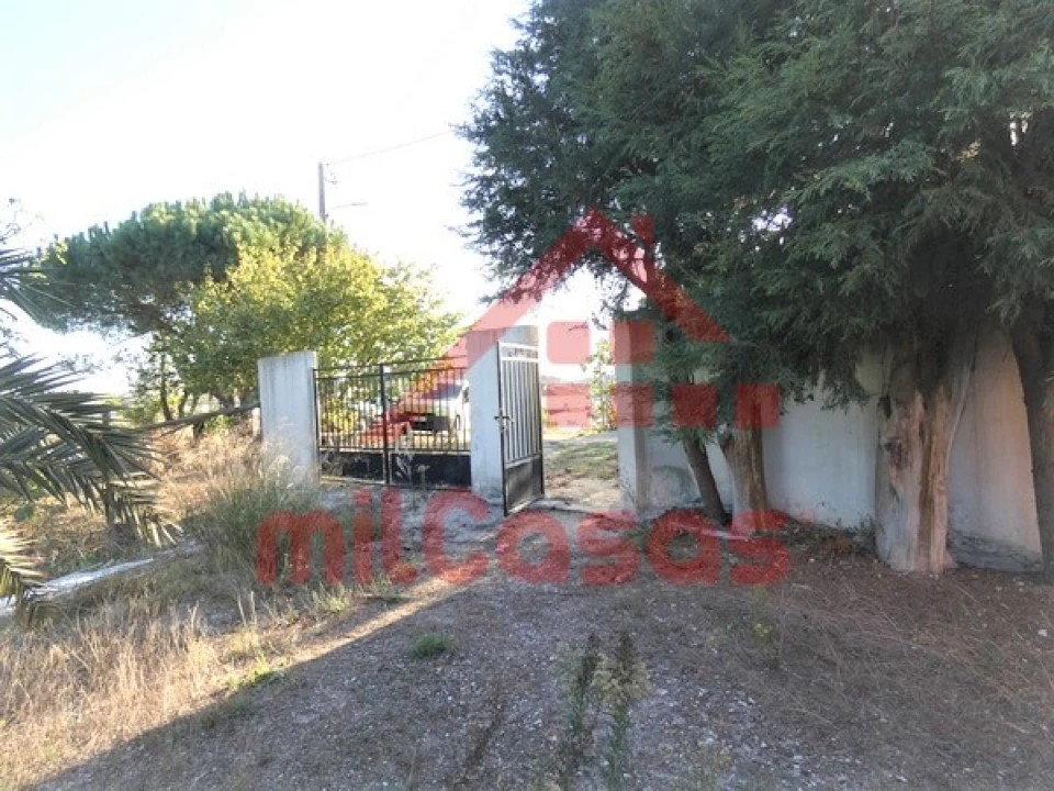 Moradia T2 para Venda em Santa Maria, São Pedro e Matacães Foto 18