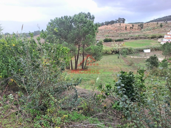 Moradia T2 para Venda em Santa Maria, São Pedro e Matacães Foto 4