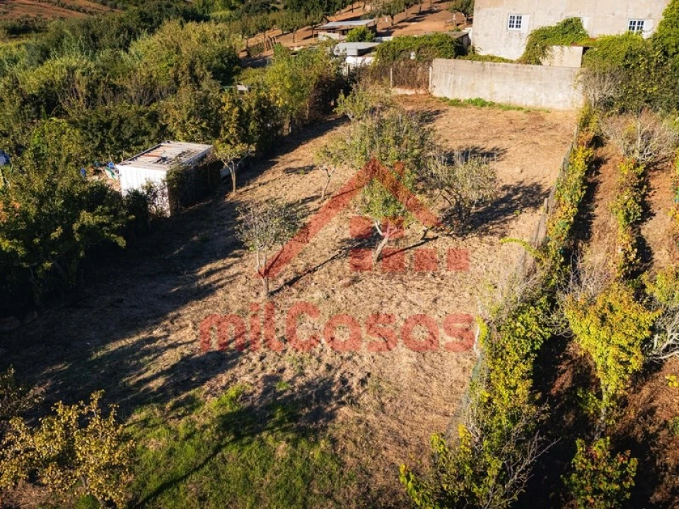 Armazém para Venda em Cadaval e Pêro Moniz Foto 6