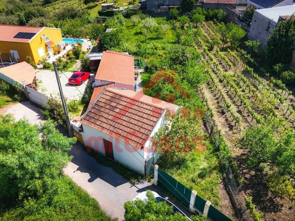 Armazém para Venda em Cadaval e Pêro Moniz Foto 1